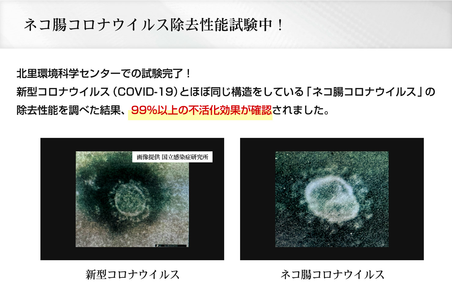 ネコ腸コロナウイルス除去性能試験中！